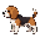 Beagle