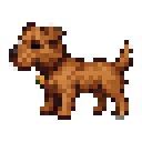 Terrier