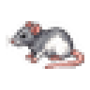 Lab Rat