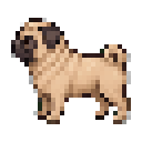 Pug