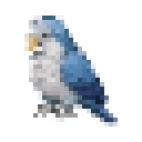 Parrot