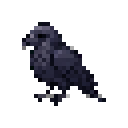 Raven