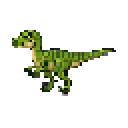 Velociraptor